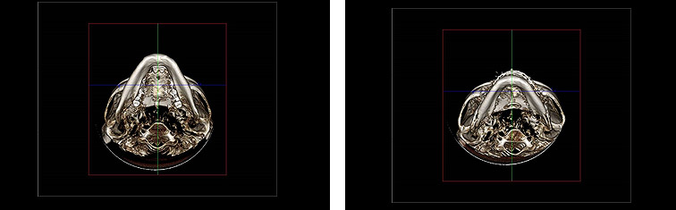 33bacc88452b26c8099a2d987e05d399_1523496484_7678.jpg